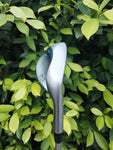 Kasco Dolphin Wedge DW-116 Forged 50° Gap Wedge