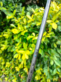 PXG 0317 X Gen2 22° 4 Hybrid