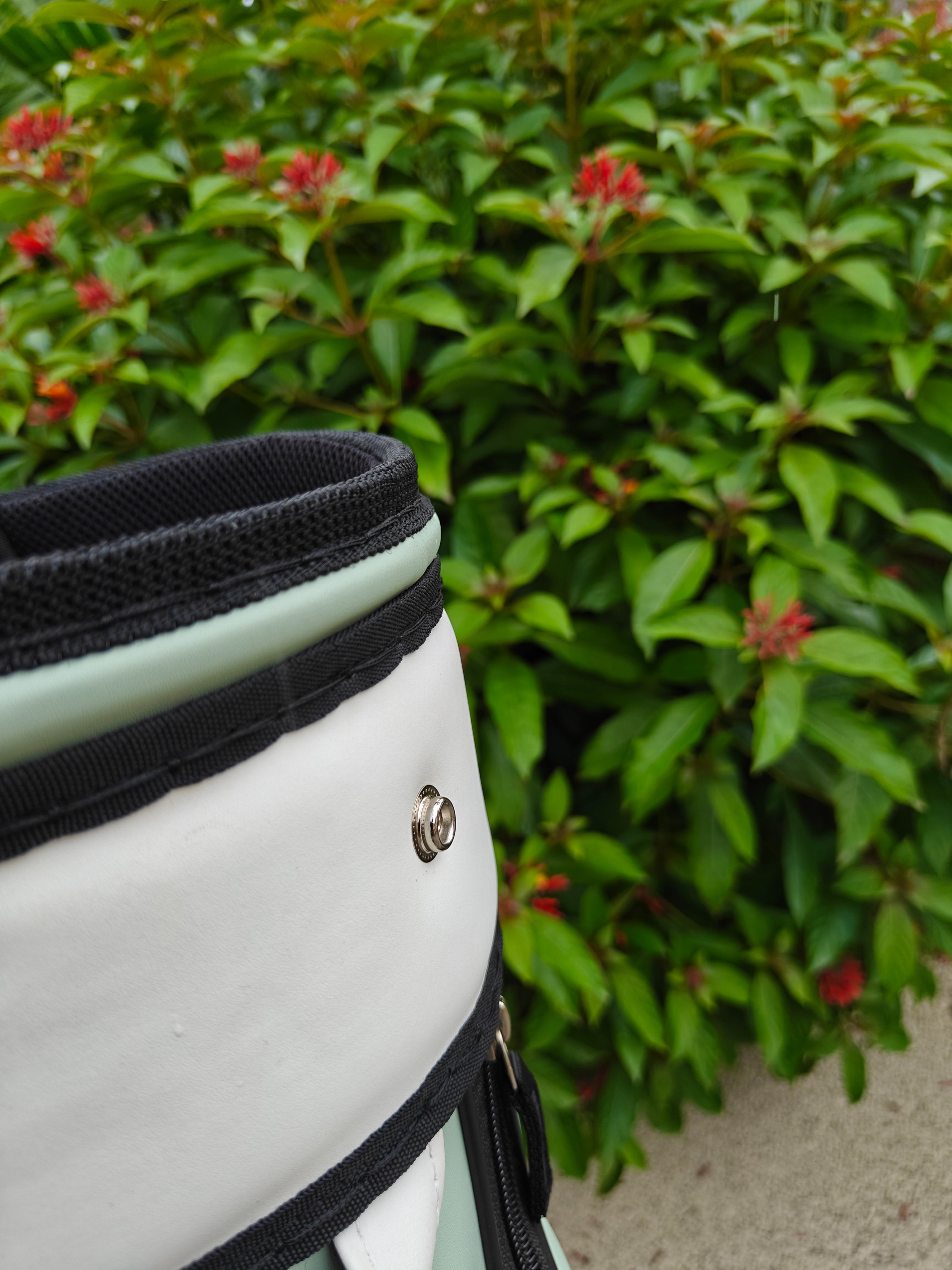 Classic Golf Bag - Mint & White