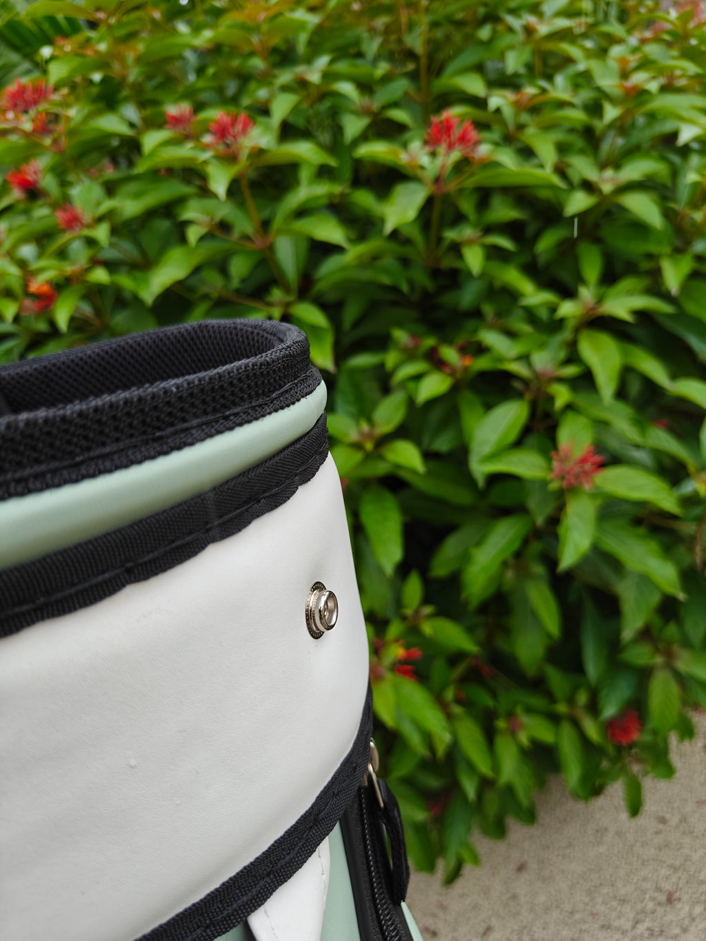 Classic Golf Bag - Mint & White