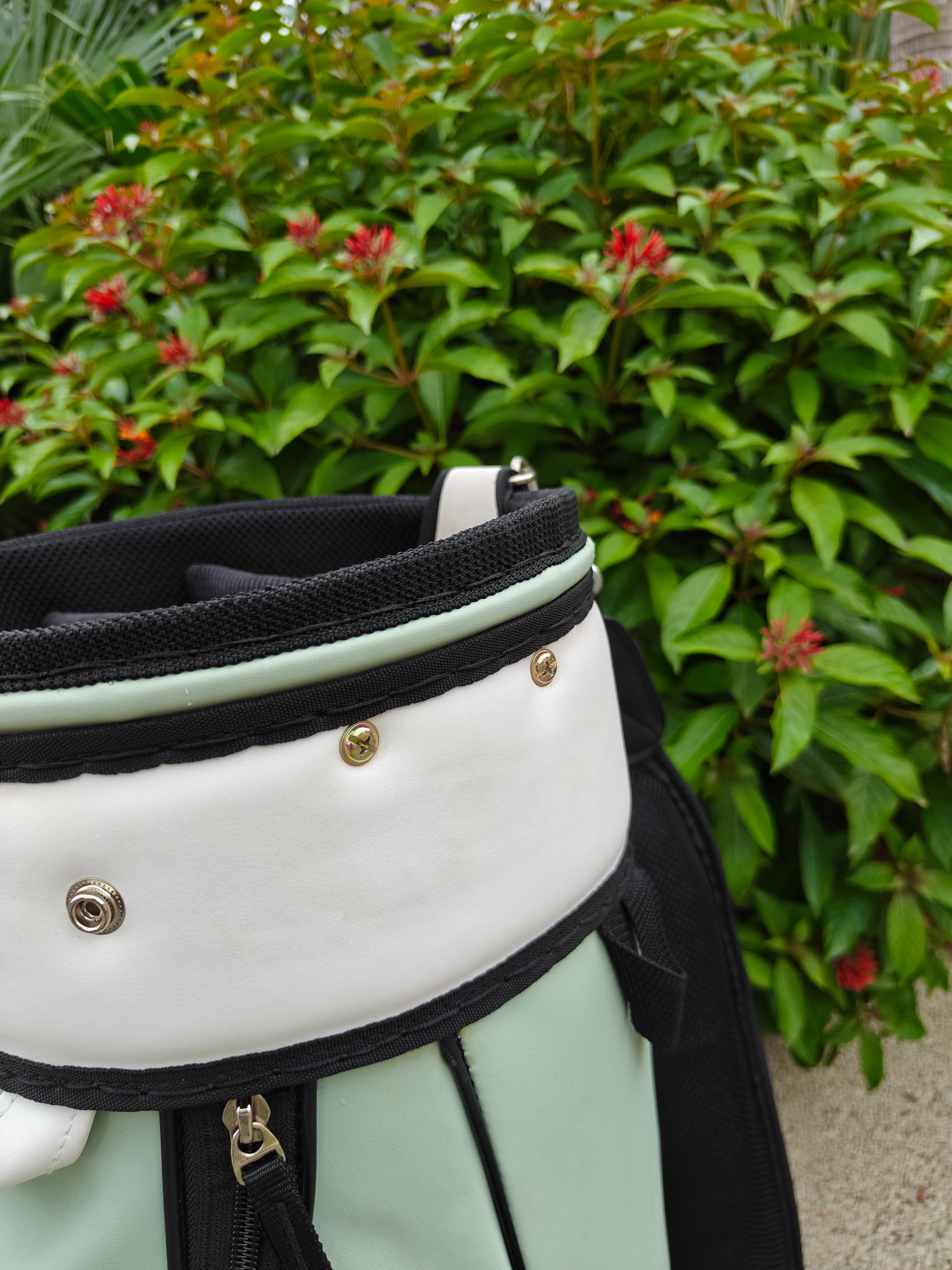 Classic Golf Bag - Mint & White