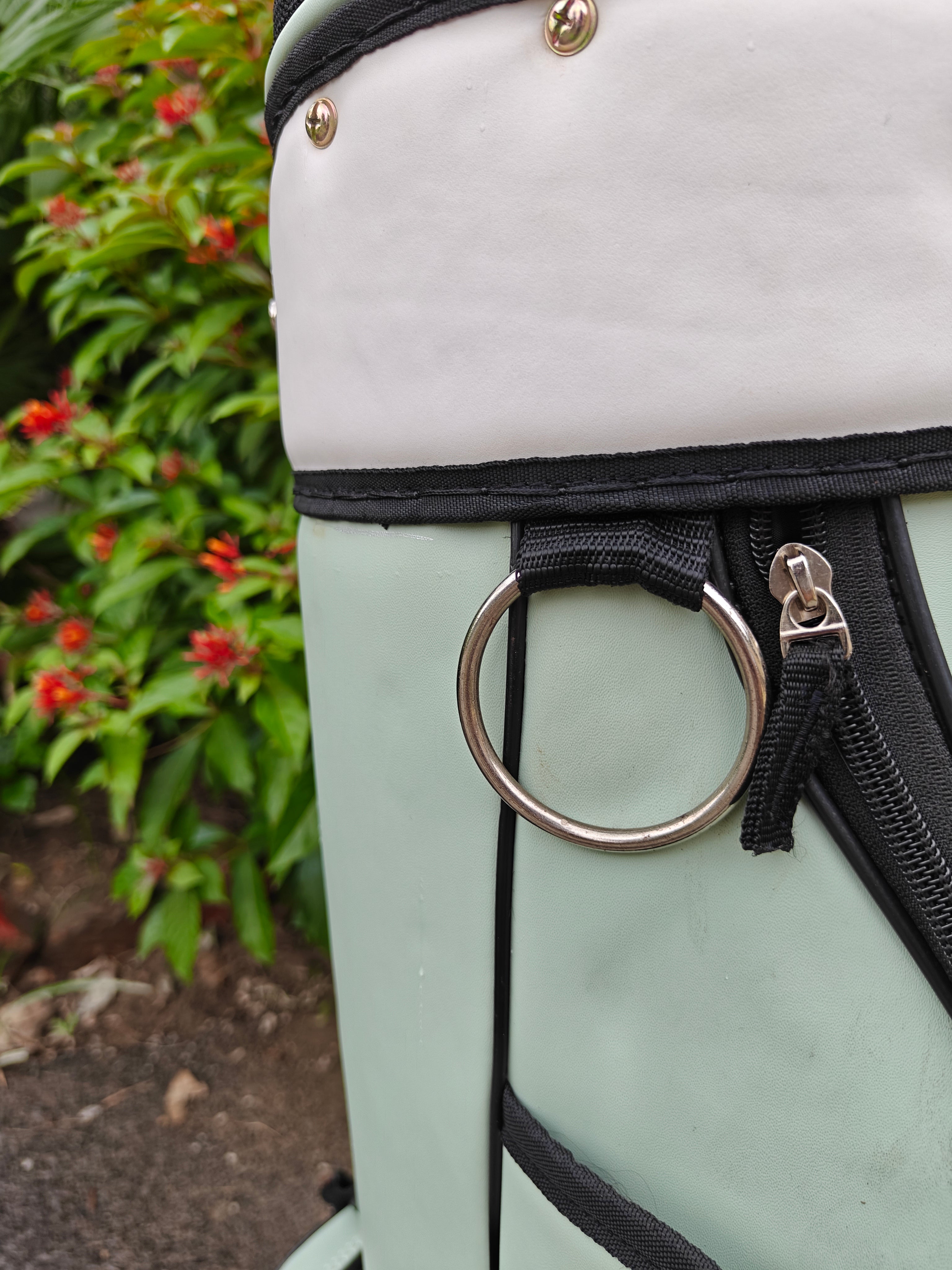 Classic Golf Bag - Mint & White