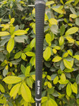 Fourteen MT28S Raw Wedge